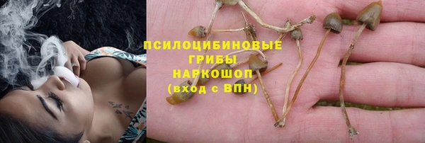 сатива Балабаново