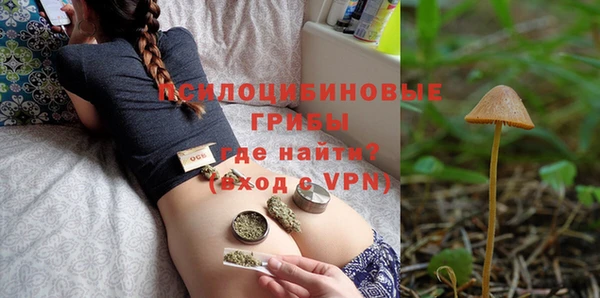 сатива Балабаново
