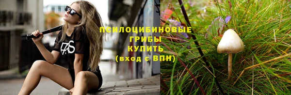 сатива Балабаново