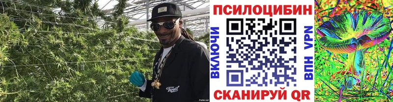 Псилоцибиновые грибы Cubensis  Лакинск 